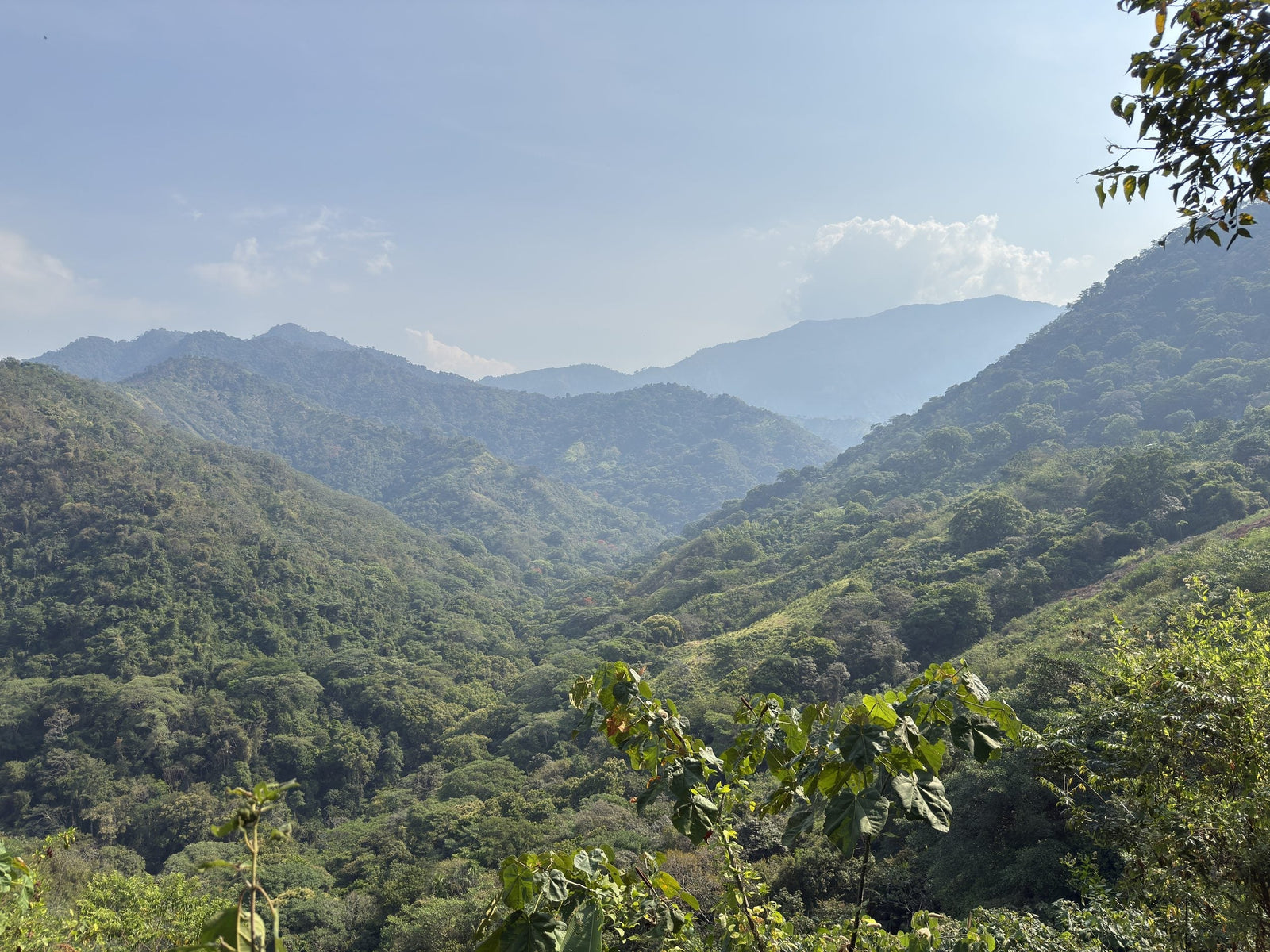 Sierra Nevada de Santa Marta: Where Mountains Meet the Sea