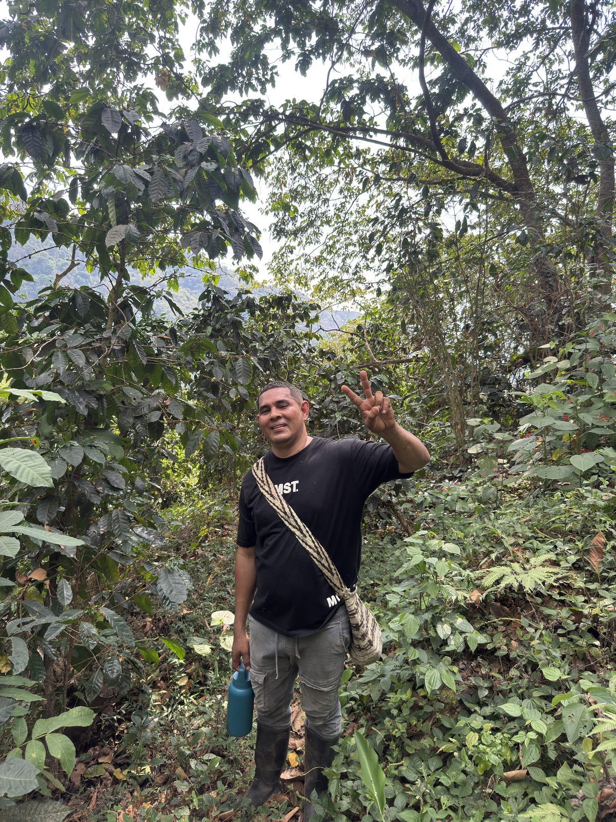 Jorge Sierra Nevada