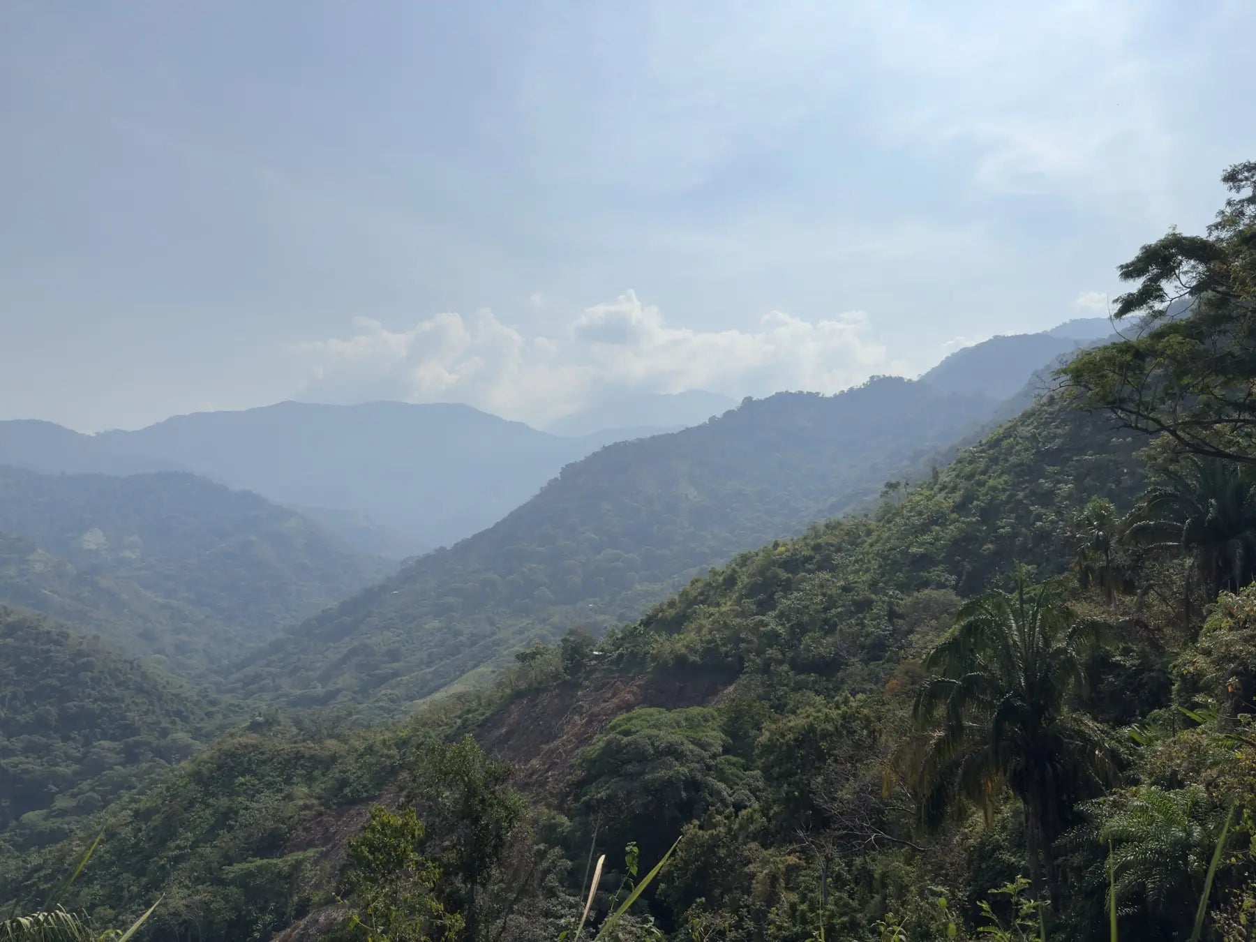 The Sierra Nevada de Santa Marta mountains where Esencia grows